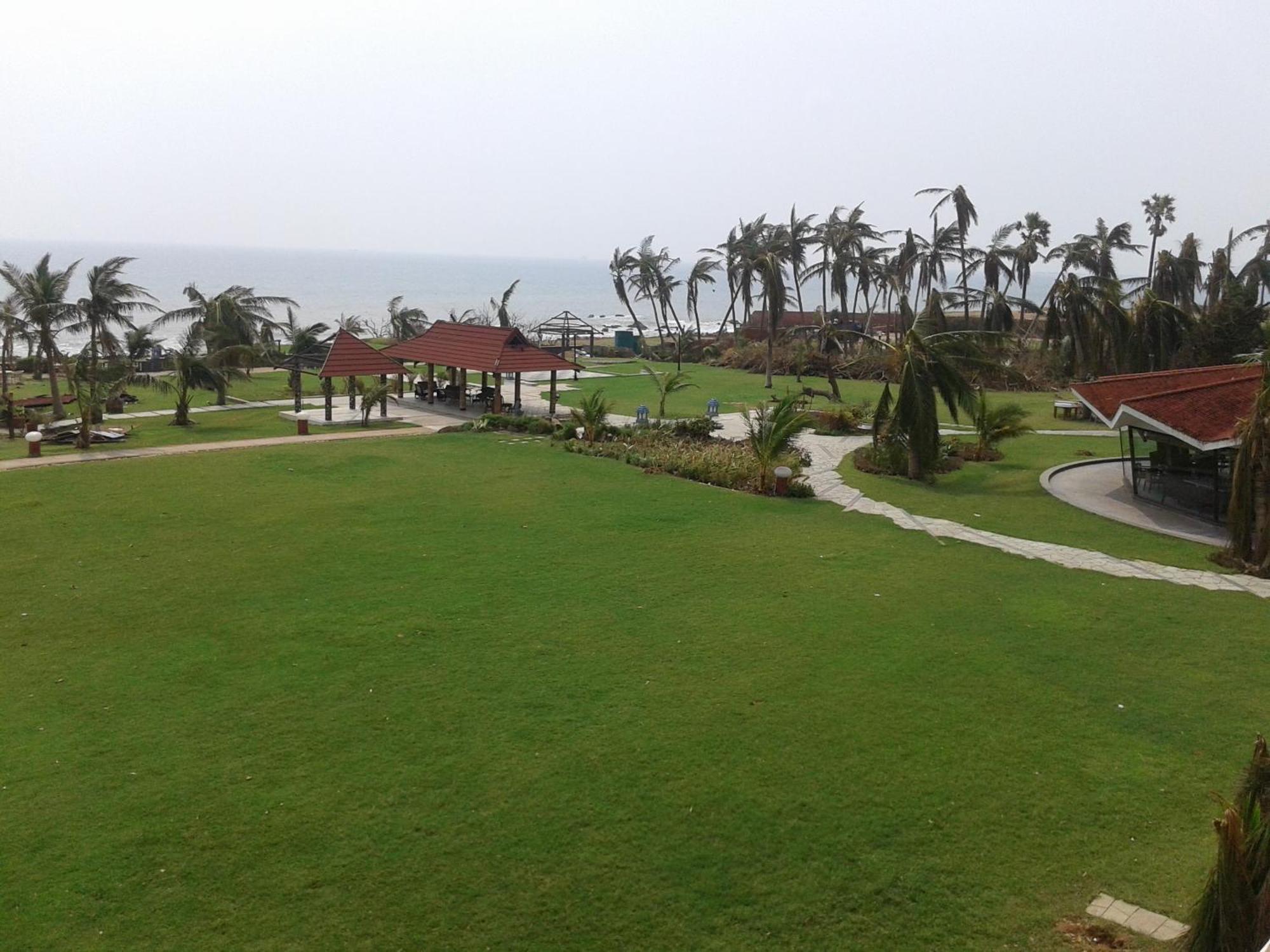 The Park